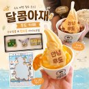 우도 카페 달콤아재 추천 후기(우도 땅콩, 한라봉 아이스크림, 우드 마그넷 3종)