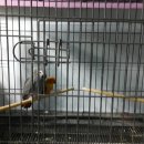 인천조류원 이미지