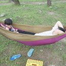 장풍숲입구 이미지