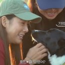뷰티풀링