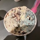 명품당구장 | 새해맞이 봄이랑 소노펫 리조트 여행☀️❤️‍🔥🐴 | 남양주 스타벅스 더북한강R점🐶🏞️