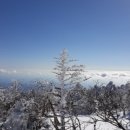■●▩ 2019년 1월 14~15일 한라산 특별 산행 안내 ■●▩ 이미지