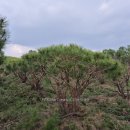 반송농장 이미지