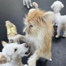 멍스가든 이미지