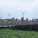 배배게스트하우스 이미지