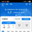 여주-0314 티스토리
