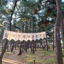 송림길 이미지