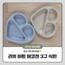 러빗 하트 에코젠 3구 식판 내돈내산 후기