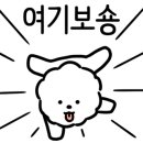 강아지 이발관 이미지