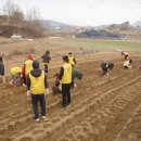 임차랑농장 이미지