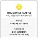 아우내농협 동면지점 | 천안사랑카드 2026년 3월 캐시백 10% 혜택 총정리