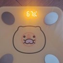 이리종합가스 | [다이어트 175일] 스위치온 다이어트 2주차 2일째, 단식 돌입
