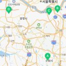 도그마루 강아지고양이 서초강남점 이미지