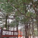 정이품송 공중화장실 이미지