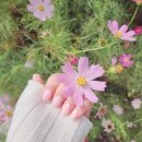유비쥬얼