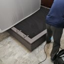 포레스트펜션 | 대전 펜션 추천 힐링할 수 있는 세종 펜션 포레스트스테이 후기