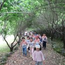 중문초등학교 병설유치원 이미지