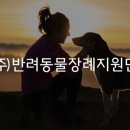장례지원단 이미지