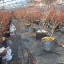 문헌농장 이미지