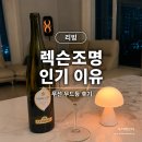 렉슨 미나 M 조명 후기, 왜 다들 사는지 알겠다