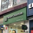 네이처컬렉션속초
