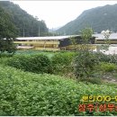 외서면 우산리 Daum카페