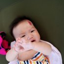 연화산 반딧불이 캠핑장 이미지