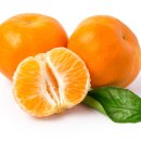 호텔감귤향기 이미지