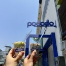 포도도(pododo) 이미지