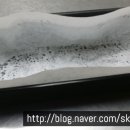청강광주제과제빵학원