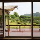 꼼지의 작은세상 이미지