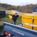 완주양봉원 이미지