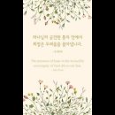 오늘의 '신앙 명언'(161강) 존 파이퍼(John Piper) 이미지