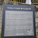 청주 가볼만한곳(청주랜드, 청주동물원 바람이, 입장료, 모노레일)