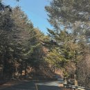 경주슈퍼 | 경주 코오롱호텔 시그니처 슈퍼트윈 내돈내산 솔직후기