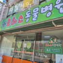 로하스 동물병원 이미지