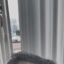 너의,미장원