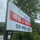 숲속에 바다 이미지