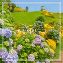 카페토핑(Cafe Toping) | 경남 거제 카페 바람의핫도그 본점 메뉴 주차장 노랑버덩 내돈내산 후기