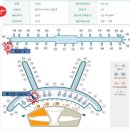 [인천공항]항공사별 체크인카운터 및 탑승구 안내 이미지