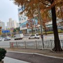 지산세무회계 이미지