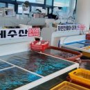 형제수산회직판장 네이버블로그