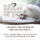 Dr.윤24시동물병원 | 은평구 대조동 동물병원 Dr.윤 동물의료센터 위치 오는길 후기