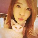 써니푸드 이미지