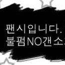 곰도리팬시 이미지
