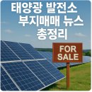 수정솔라태양광발전소 | 태양광 발전소 부지매매 뉴스 총정리