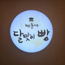 종로 디저트카페 빵집 추천 해운대달맞이빵 청계천점