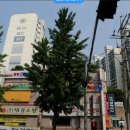 오류동부골든아파트 이미지