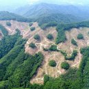 홍천국유림관리소 이미지