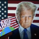 트럼프 관세정책, 일본은 도요토미 히데요시형, 도쿠가와 이에야스형 중 어느 쪽으로 가야 하나 이미지